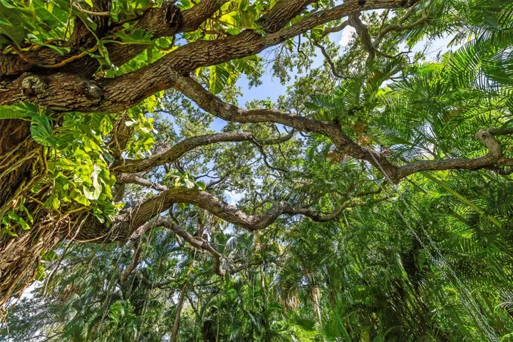 The beauty of nature in your own backyard