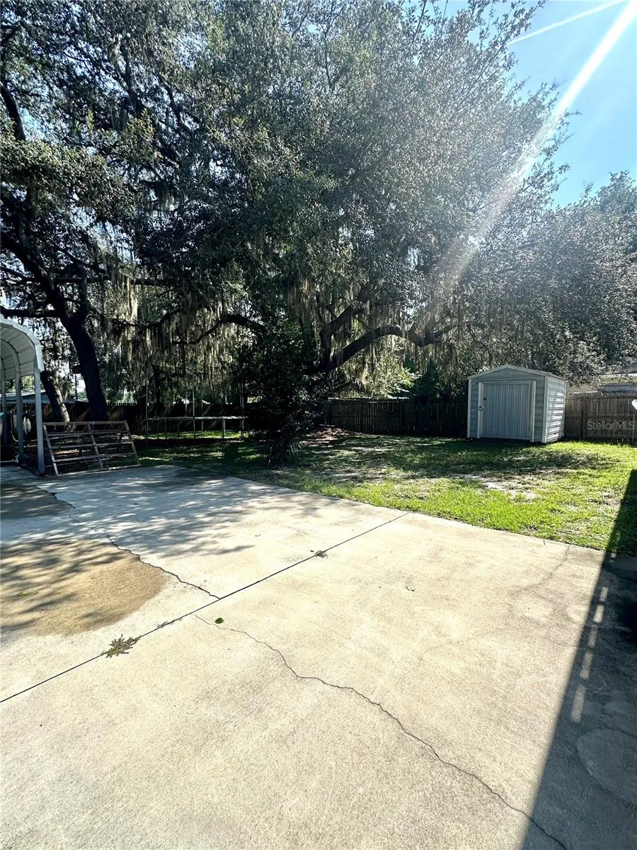 Back/shed