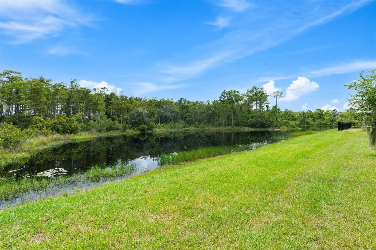 Pond and conservation views!