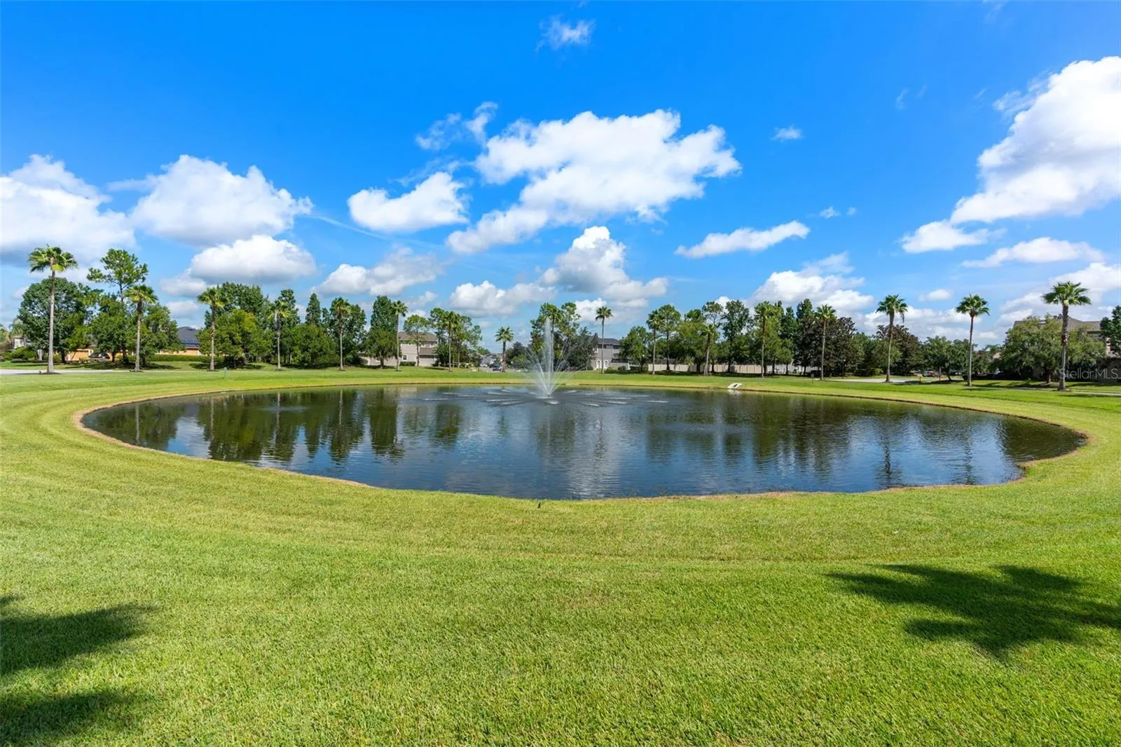 The centerpiece of the neighborhood is a signature circular pond with a central fountain, complemented by multiple smaller ponds and a large nature preserve.