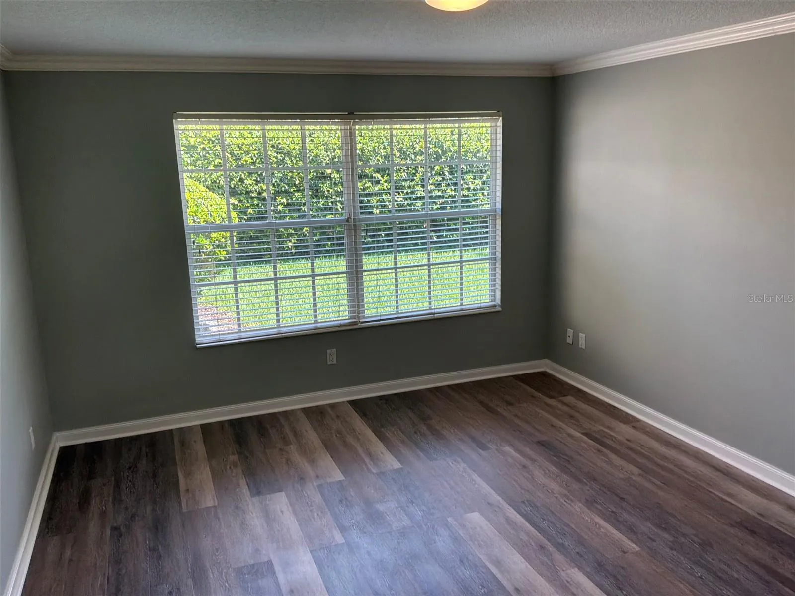Large primary bedroom w/ walk-in closet