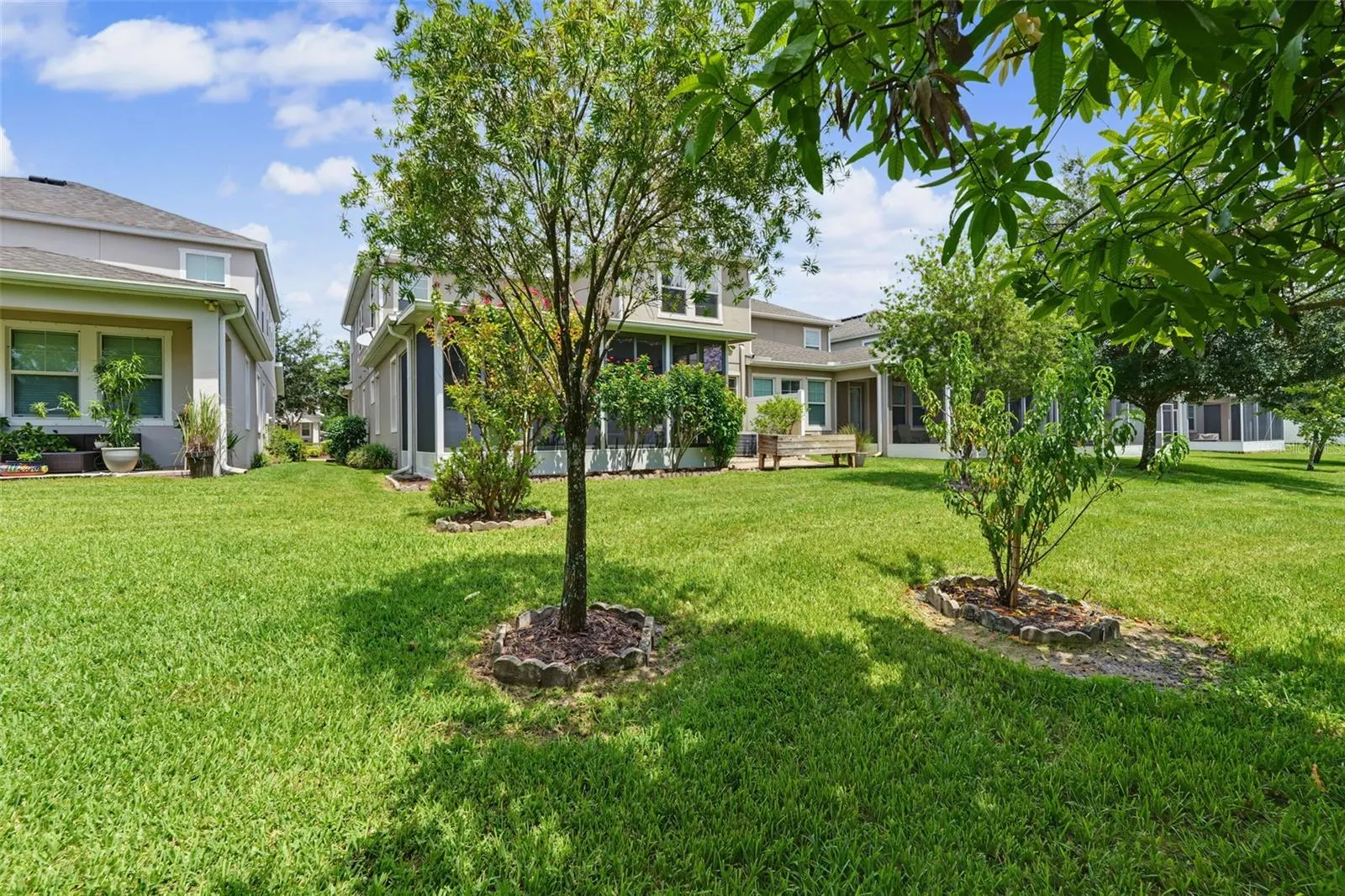 Oversized Backyard