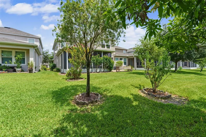 Oversized Backyard