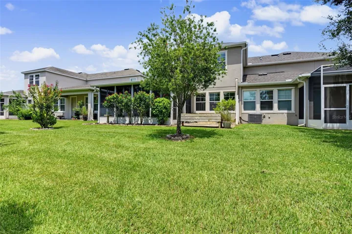 Oversized Backyard