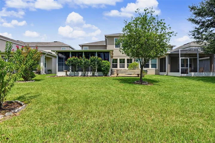 Oversized Backyard