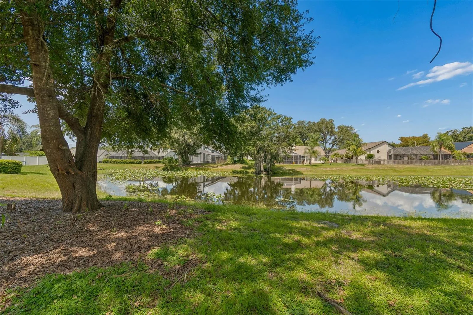 3315 Silverpond Dr, Plant City, Florida 33566 — photo 52