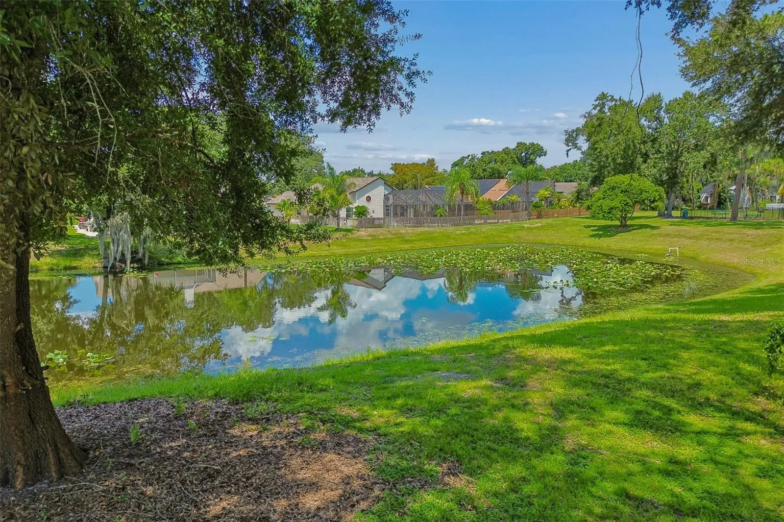 3315 Silverpond Dr, Plant City, Florida 33566 — photo 53