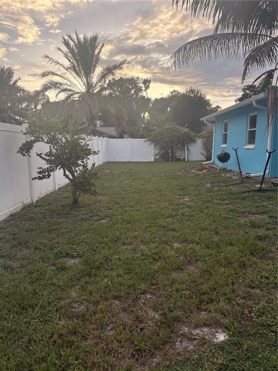 Back yard