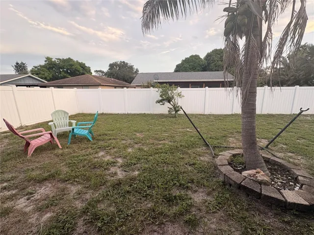 Back yard