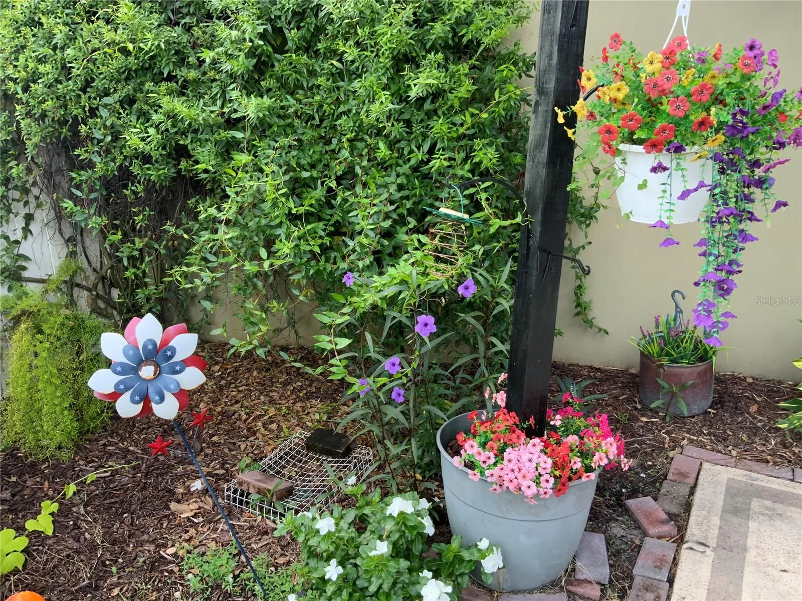 Beautiful flowers.