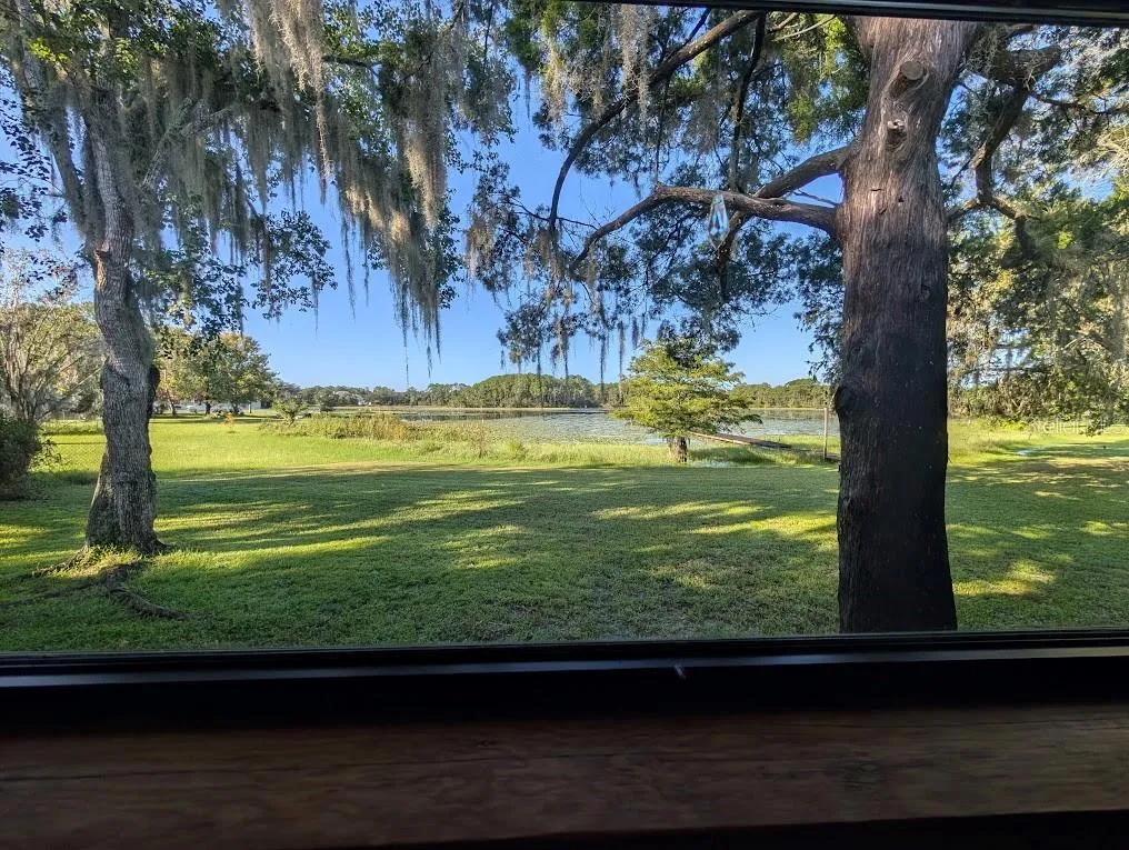 MASTER VIEW