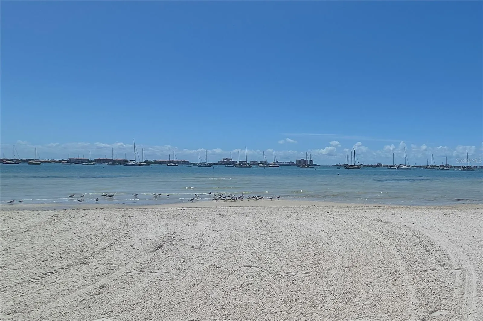 Public Gulfport Beach