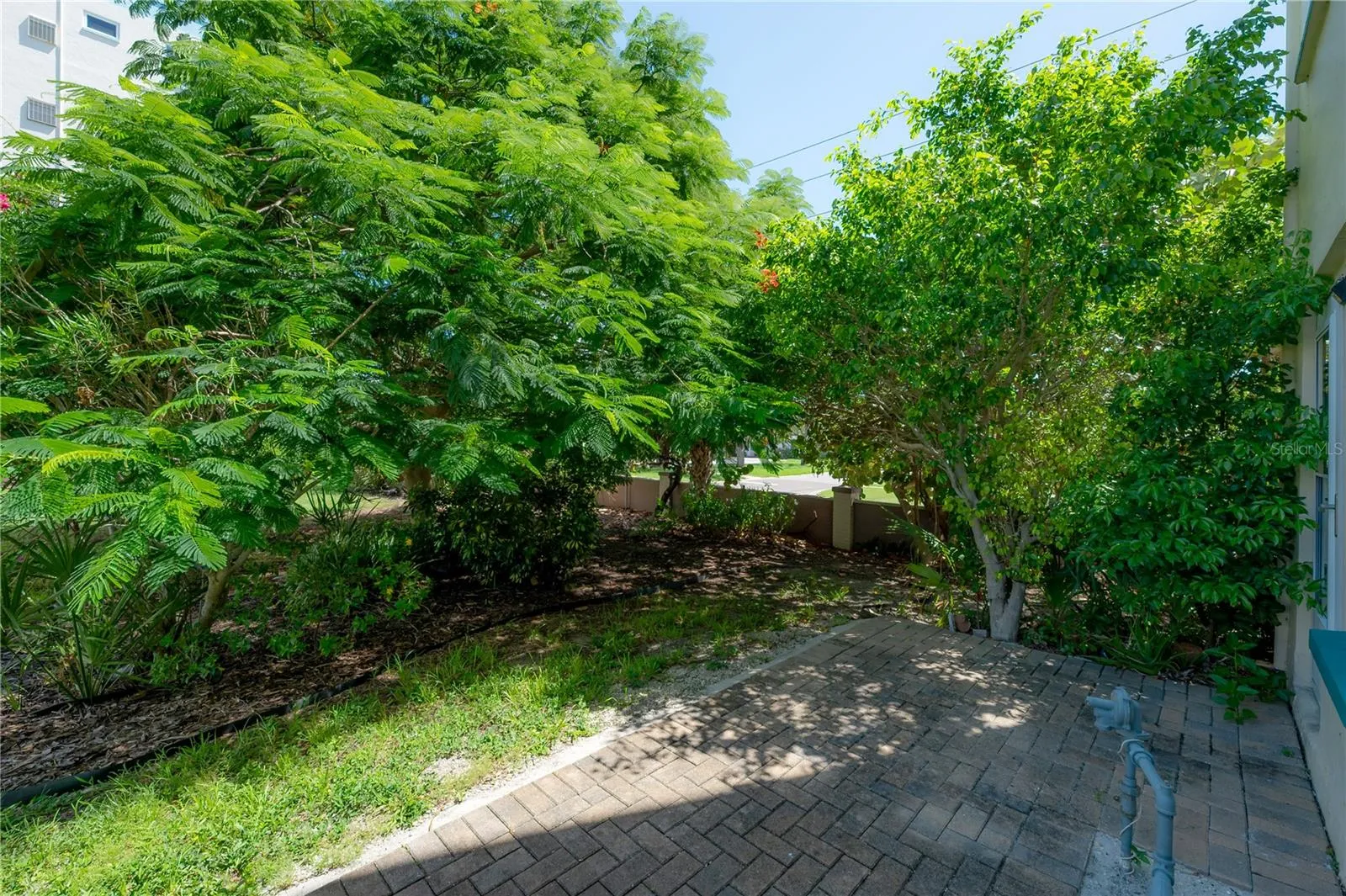 Out back area by patio