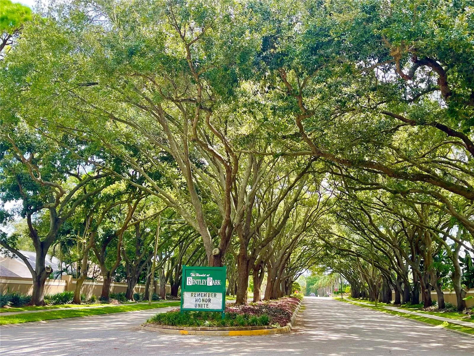 Beautiful tree lined streets of Bentley Park