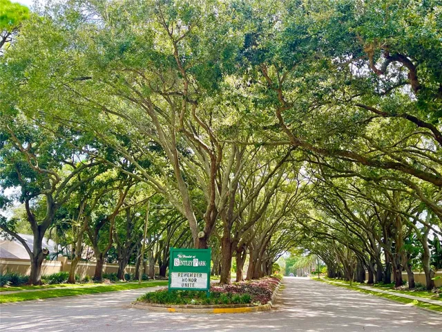 Beautiful tree lined streets of Bentley Park