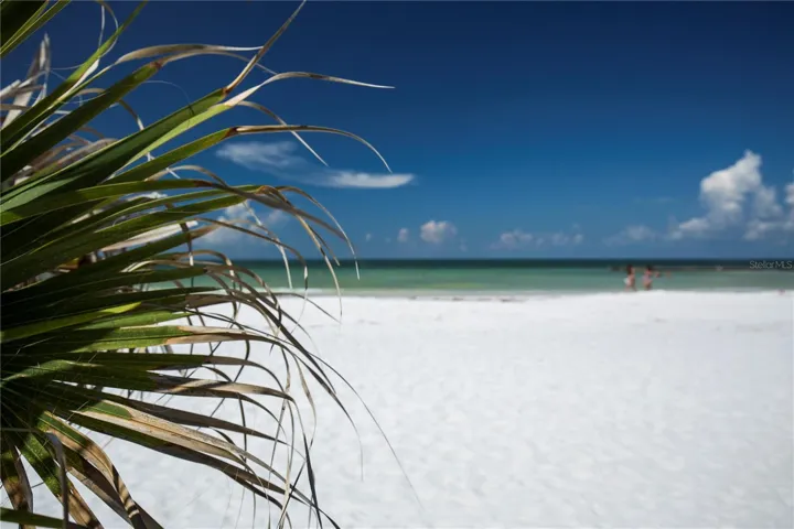 Honeymoon Island- Dunedin