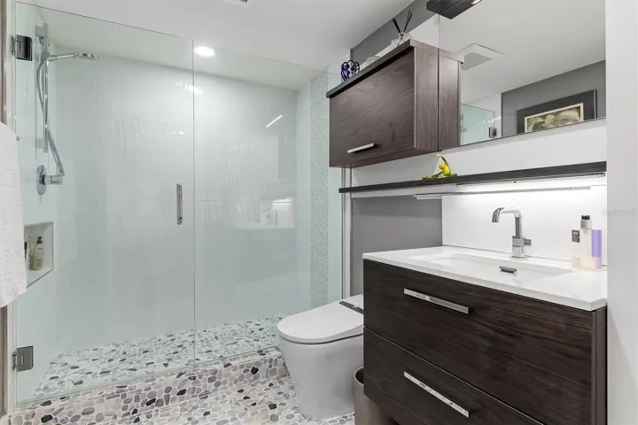 Guest bath, Toto bidet