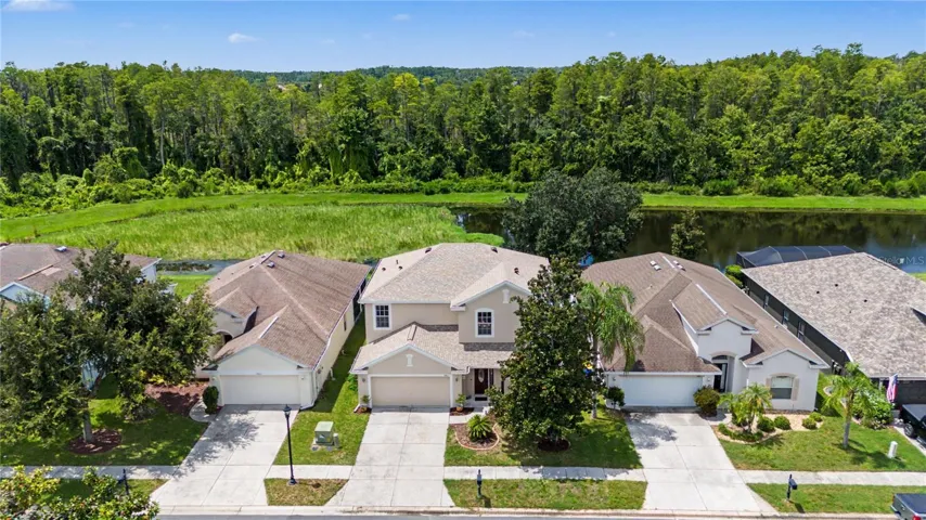 Ariel View - 9837 Jasmine Brook Circle
