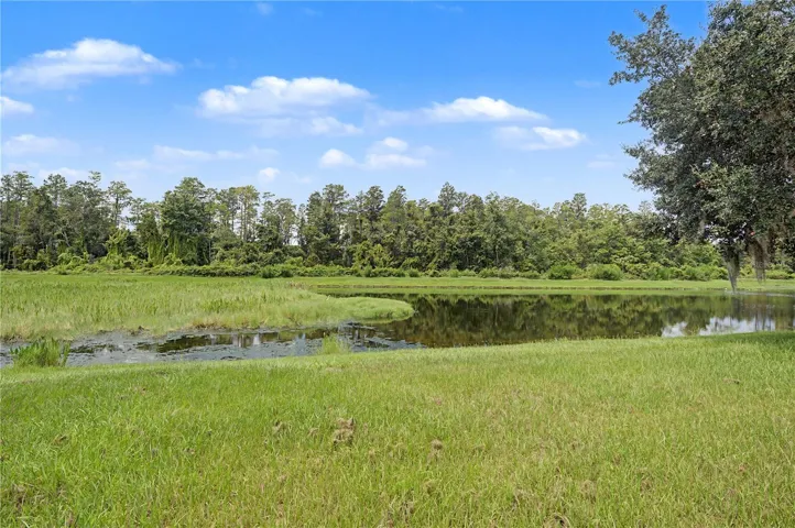 Backyard Overlooking Pond - 9837 Jasmine Brook Circle