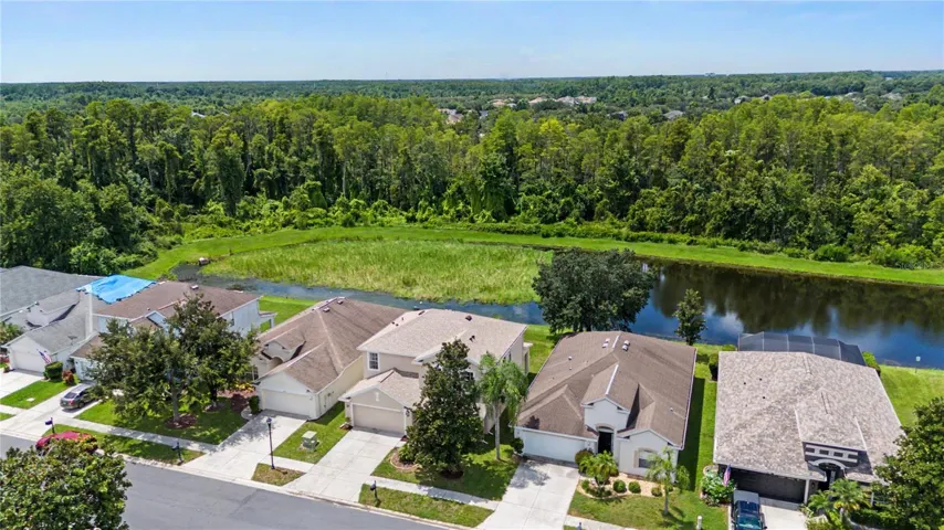 Ariel View - 9837 Jasmine Brook Circle