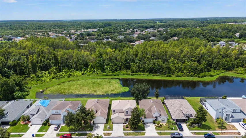 Ariel View - 9837 Jasmine Brook Circle