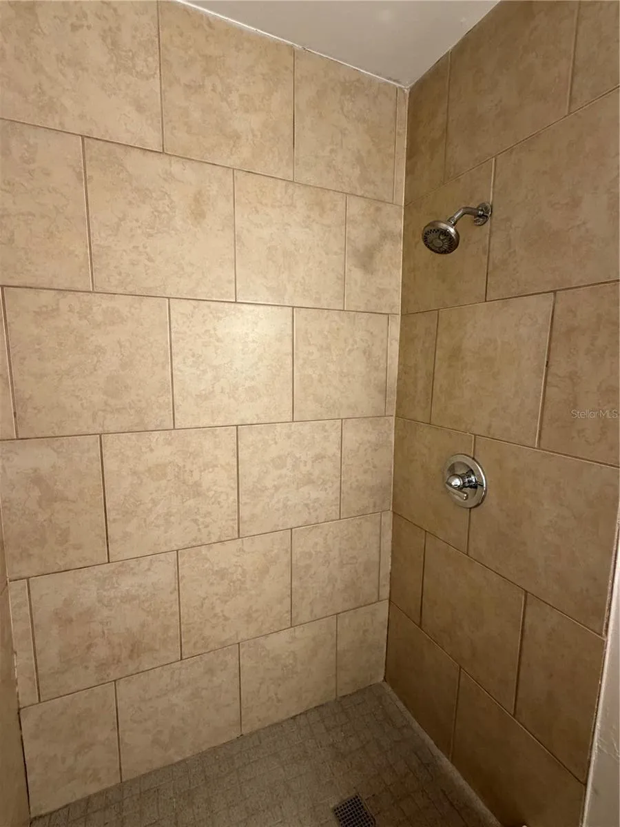 Primary Bathroom Tub/Shower