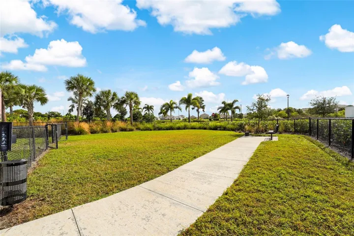 Dog park