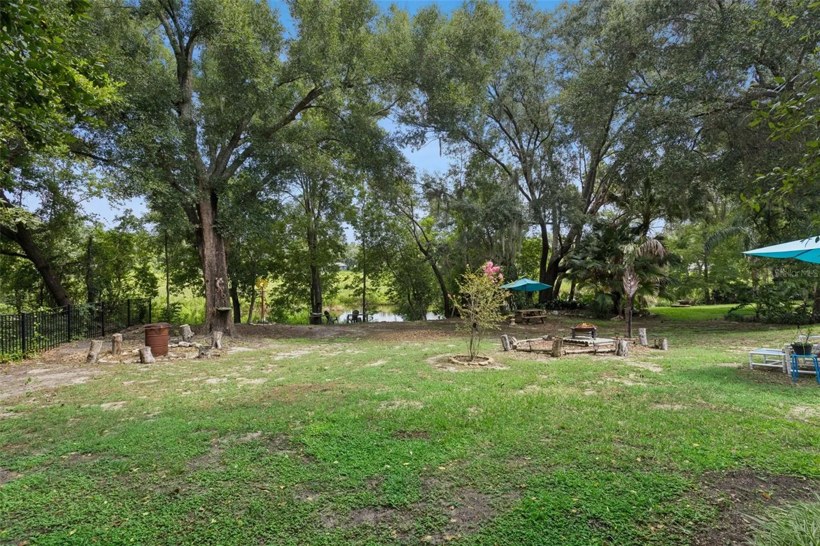 Backyard view and pond