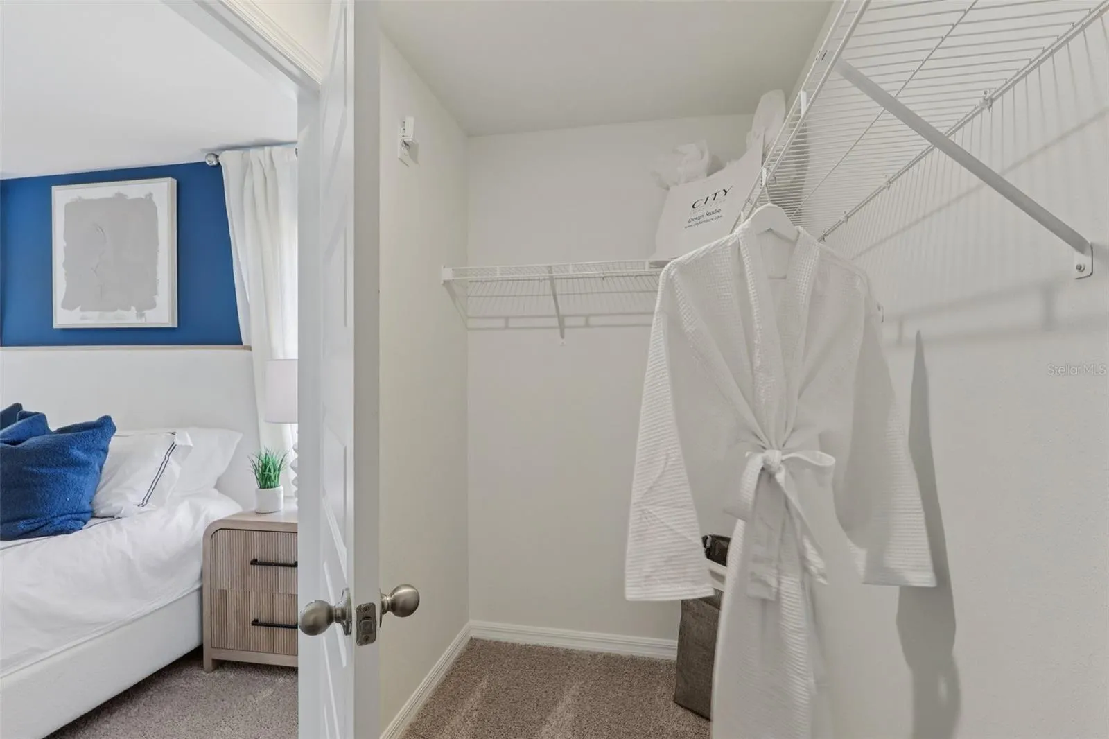 5331 Cloudberry Ave, Lakeland, Florida 33811 — photo 22