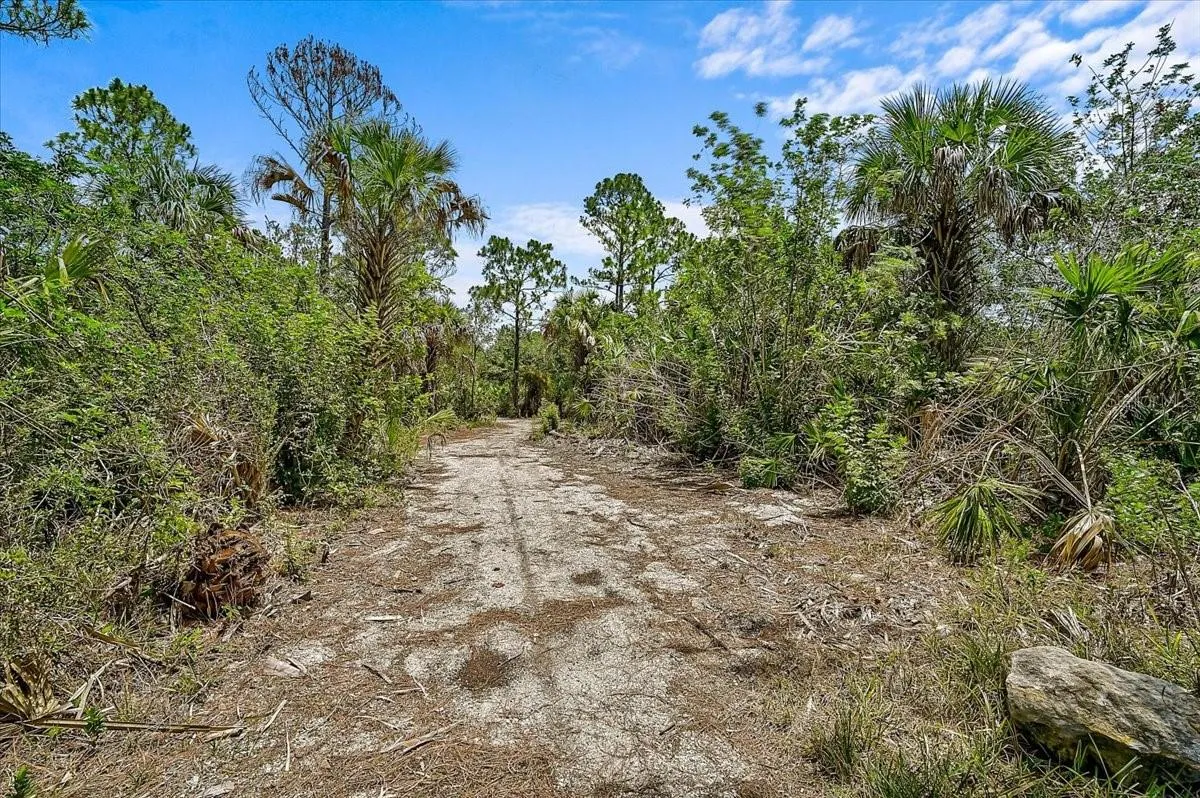 TRAIL