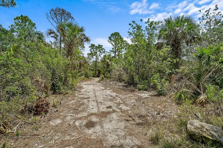 TRAIL