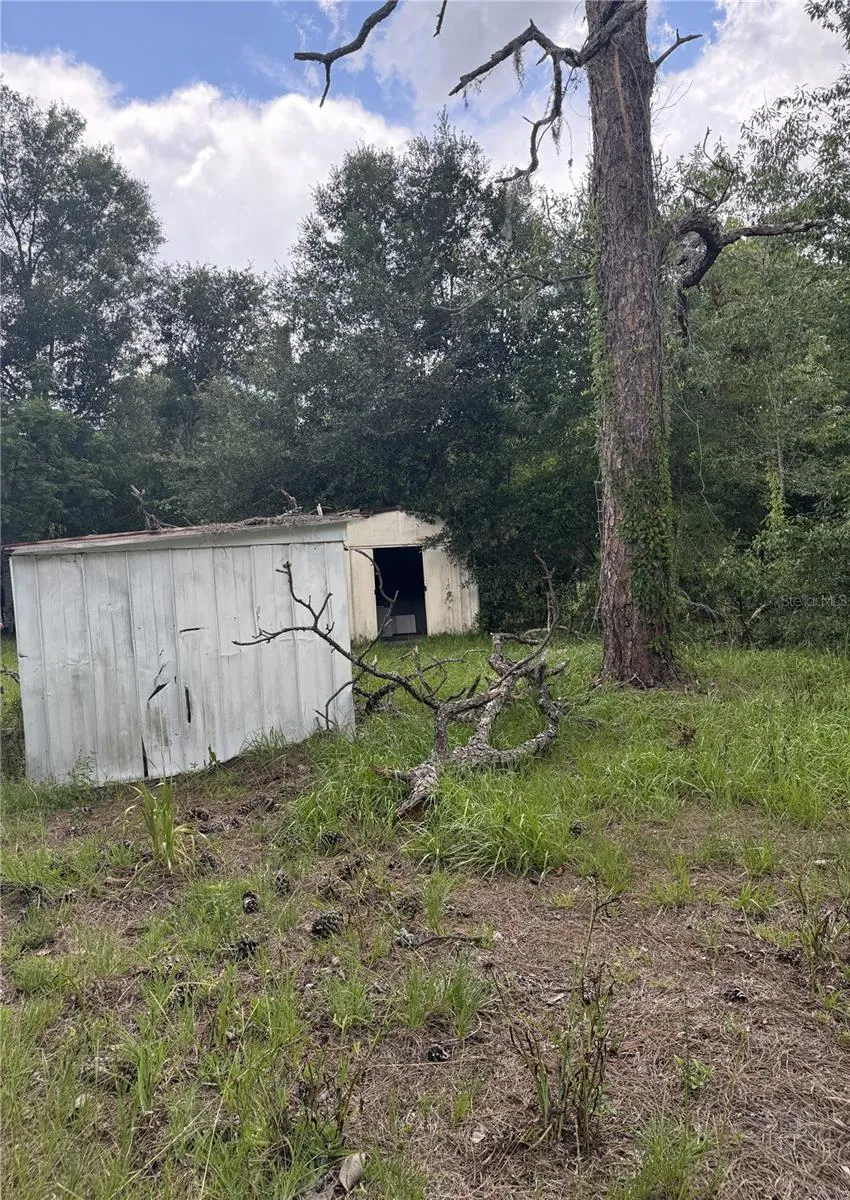 Shed