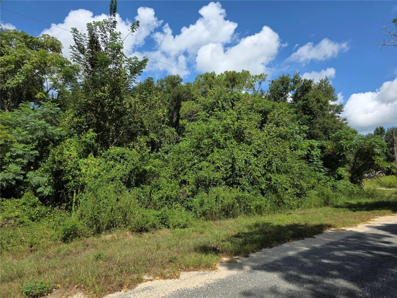 The right side of the property just before the end where the road takes a left turn
