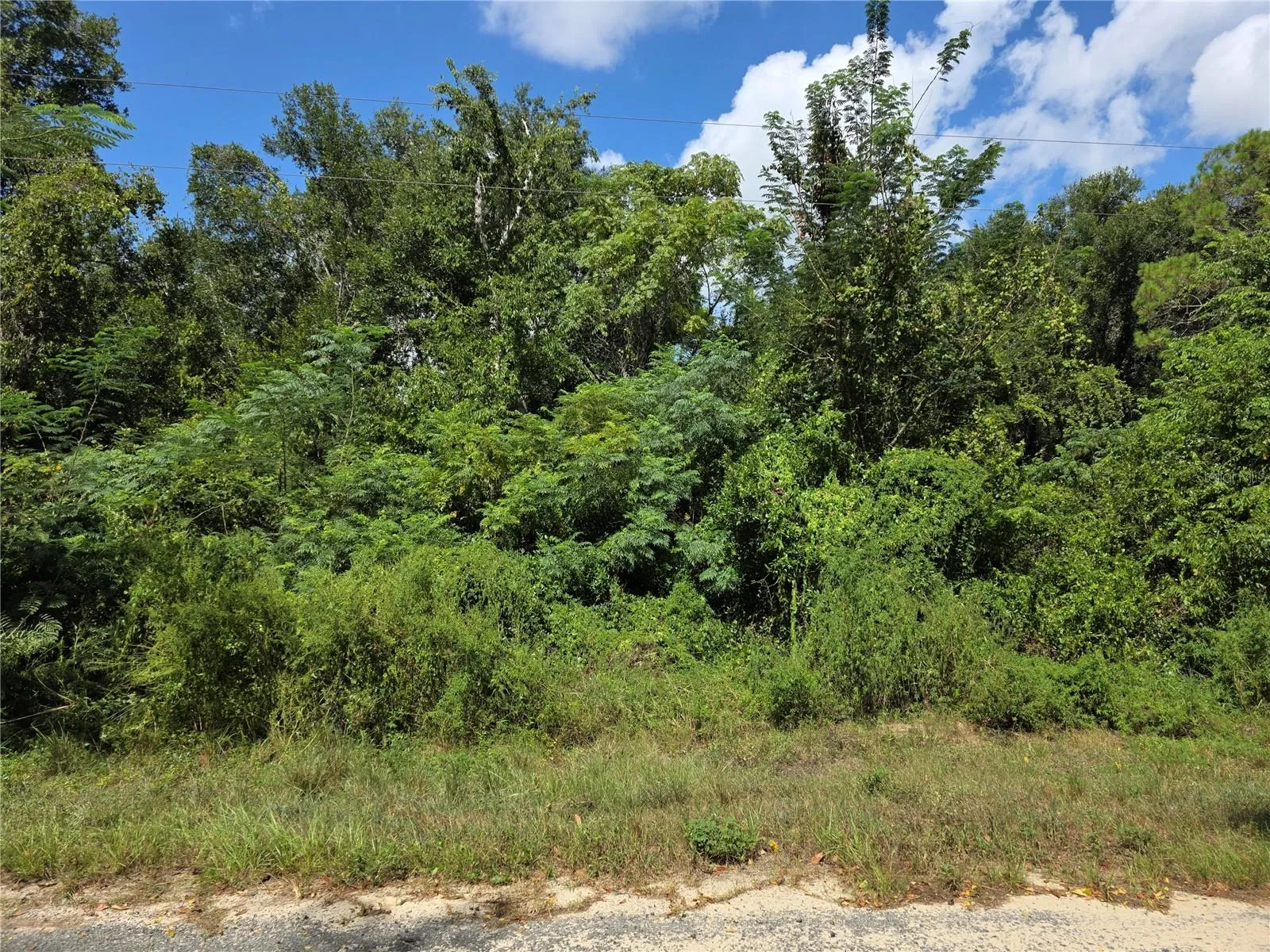 The middle of the property