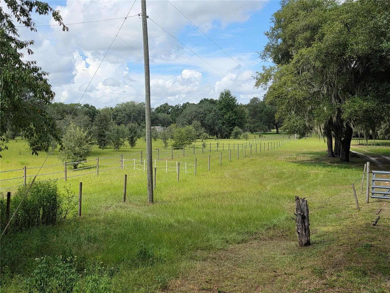 This shows the neighbor property cleared and lovely