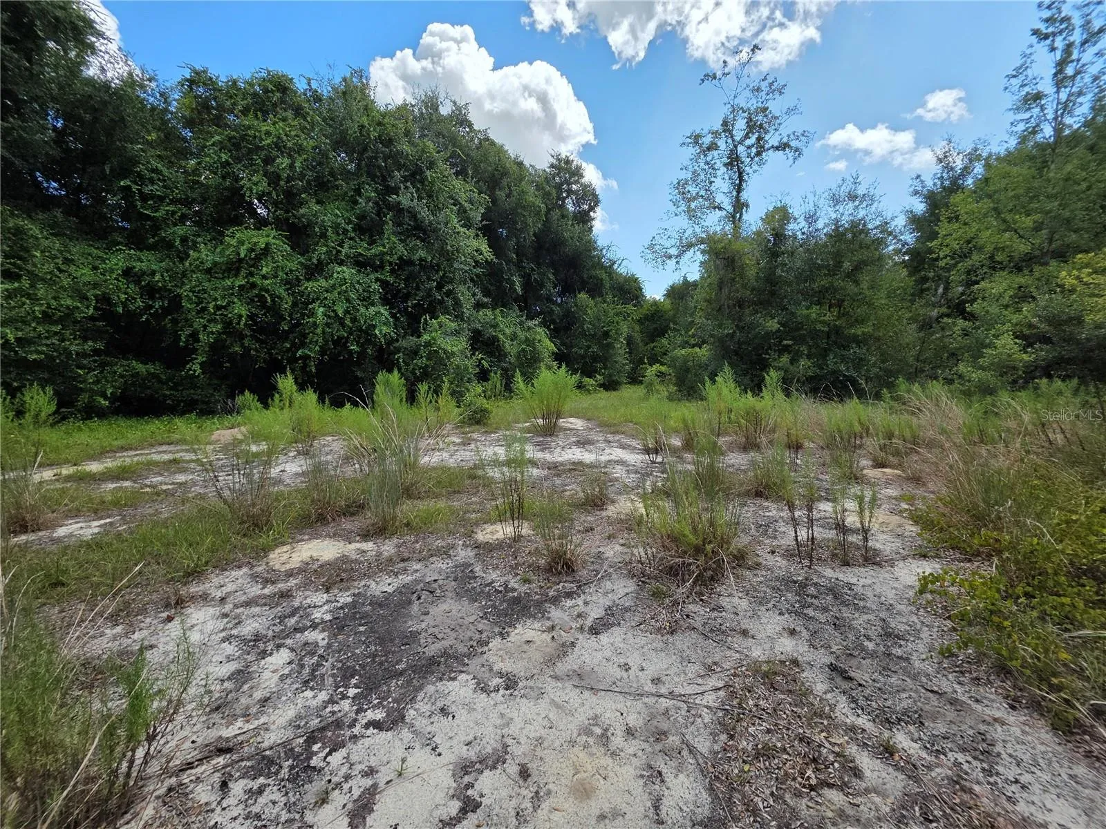 Interior of the property