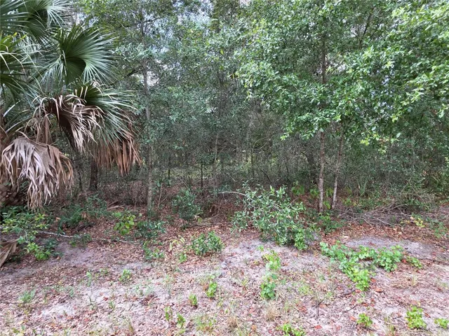 Another view of the interior of the property