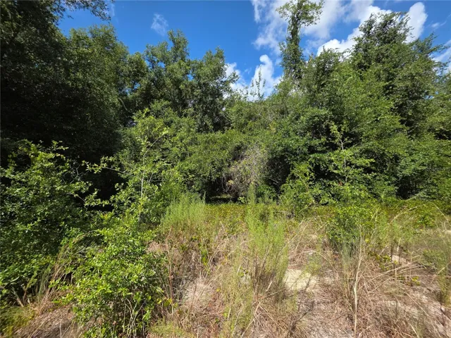A view of the interior of the property that is slightly cleared