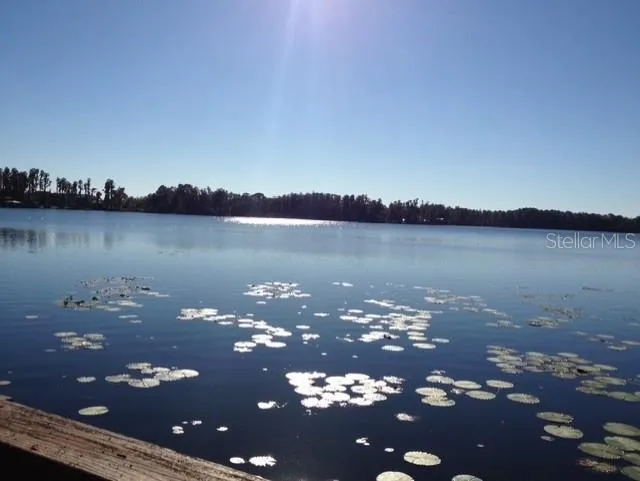 Spectacular Lake Thomas Views