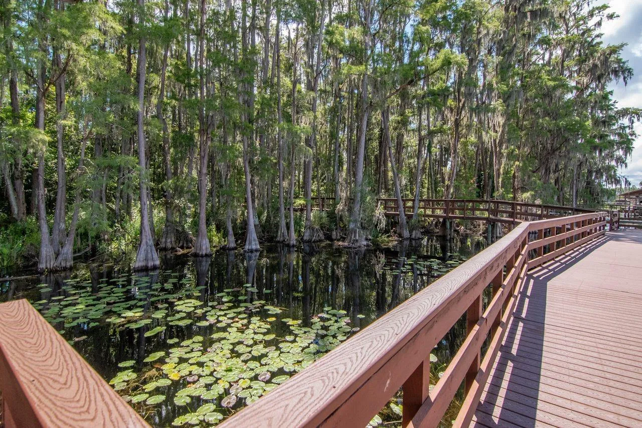 Community Boardwalk - Walking Trail