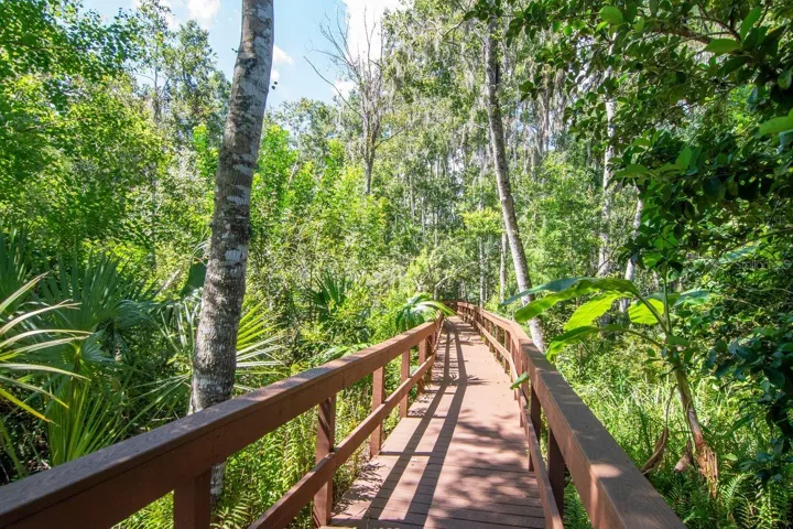 Community Boardwalk