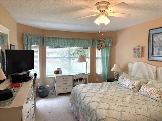 Bay Window