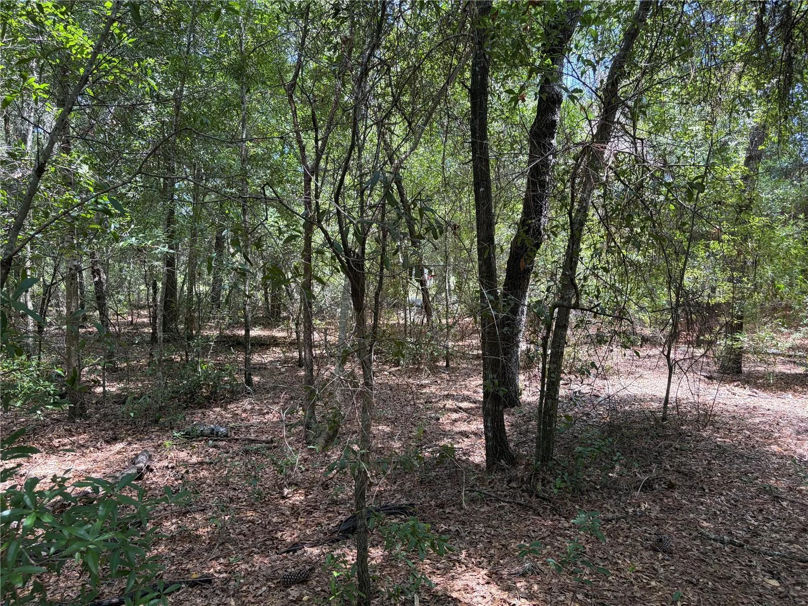 Inside Center View