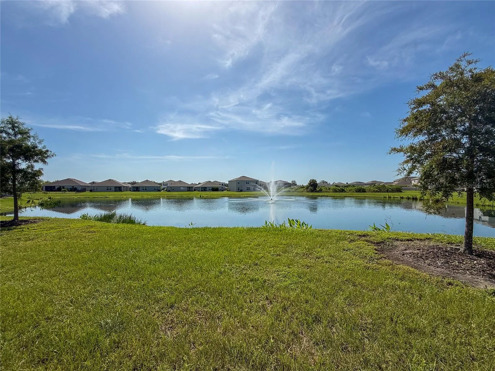 COMMUNITY POND