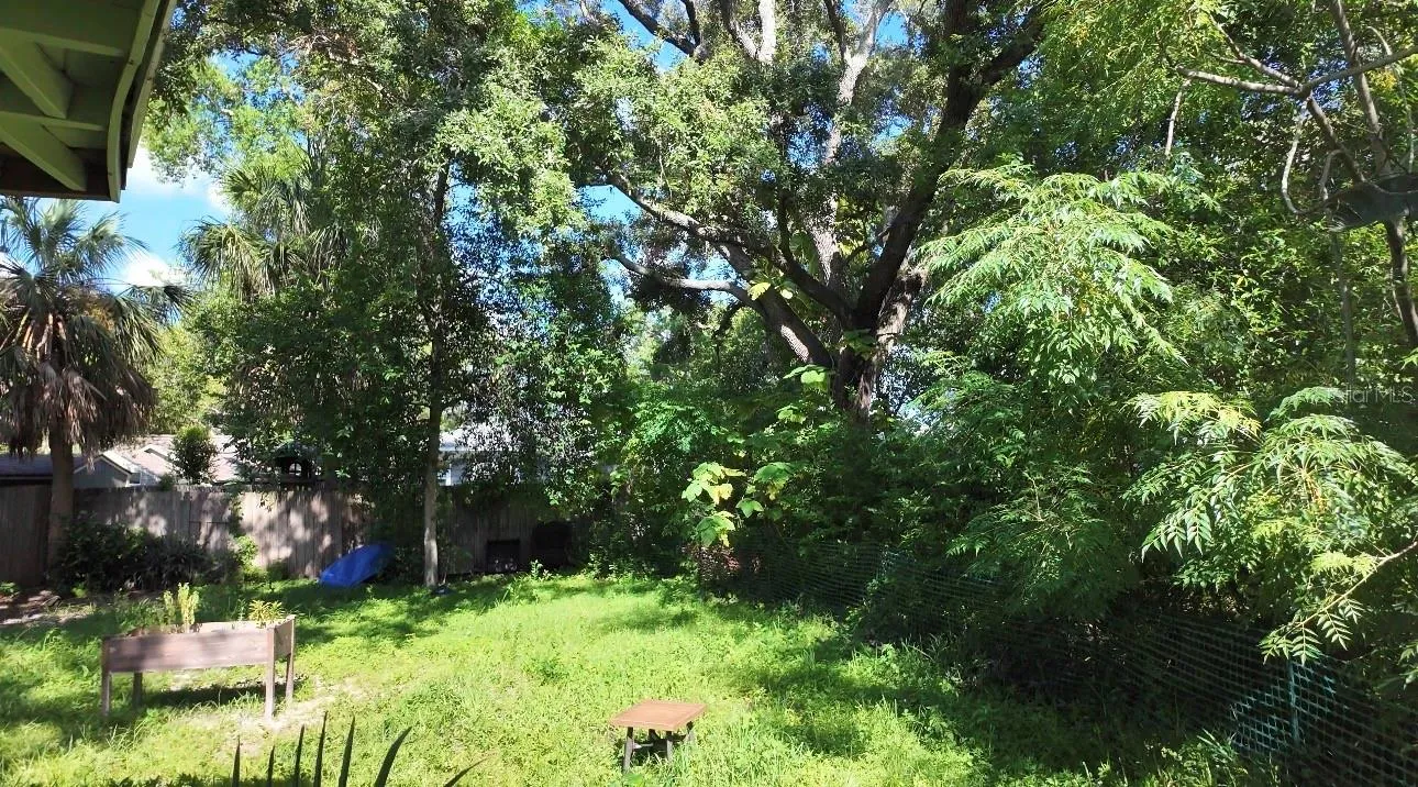backyard