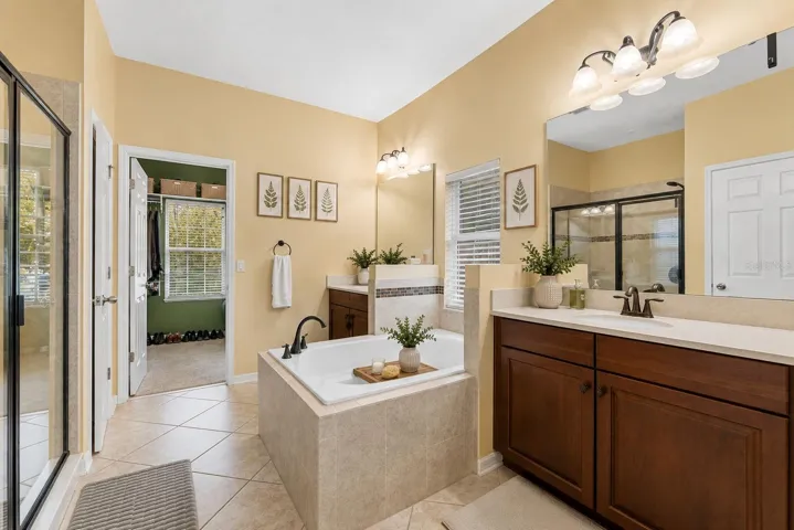 Primary Spa Bathroom