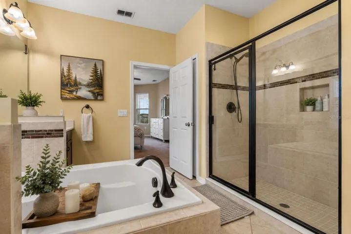 Primary Spa Bathroom
