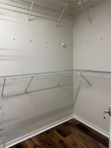 Master Bedroom closet (R)