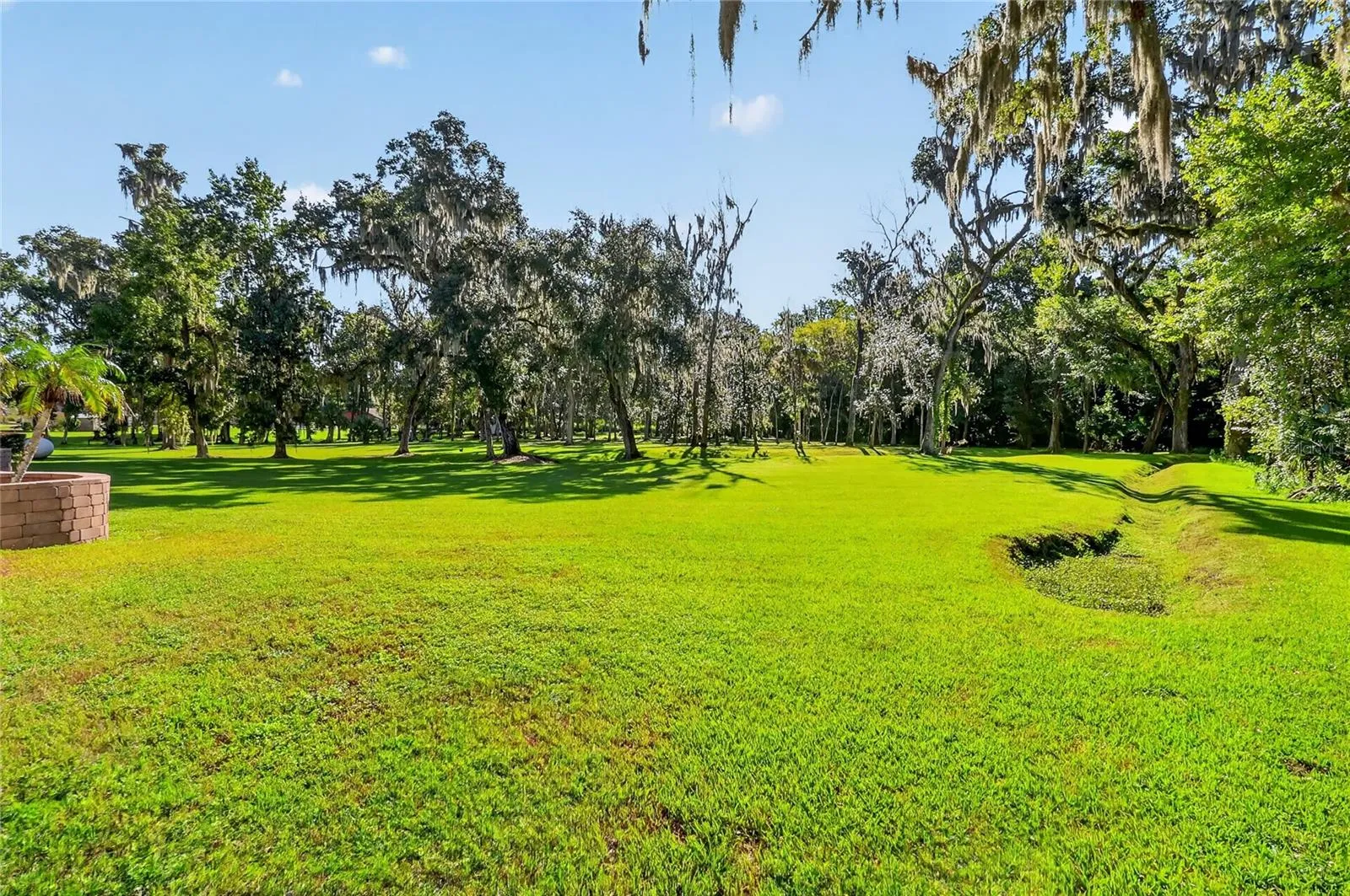 Scenic back yard