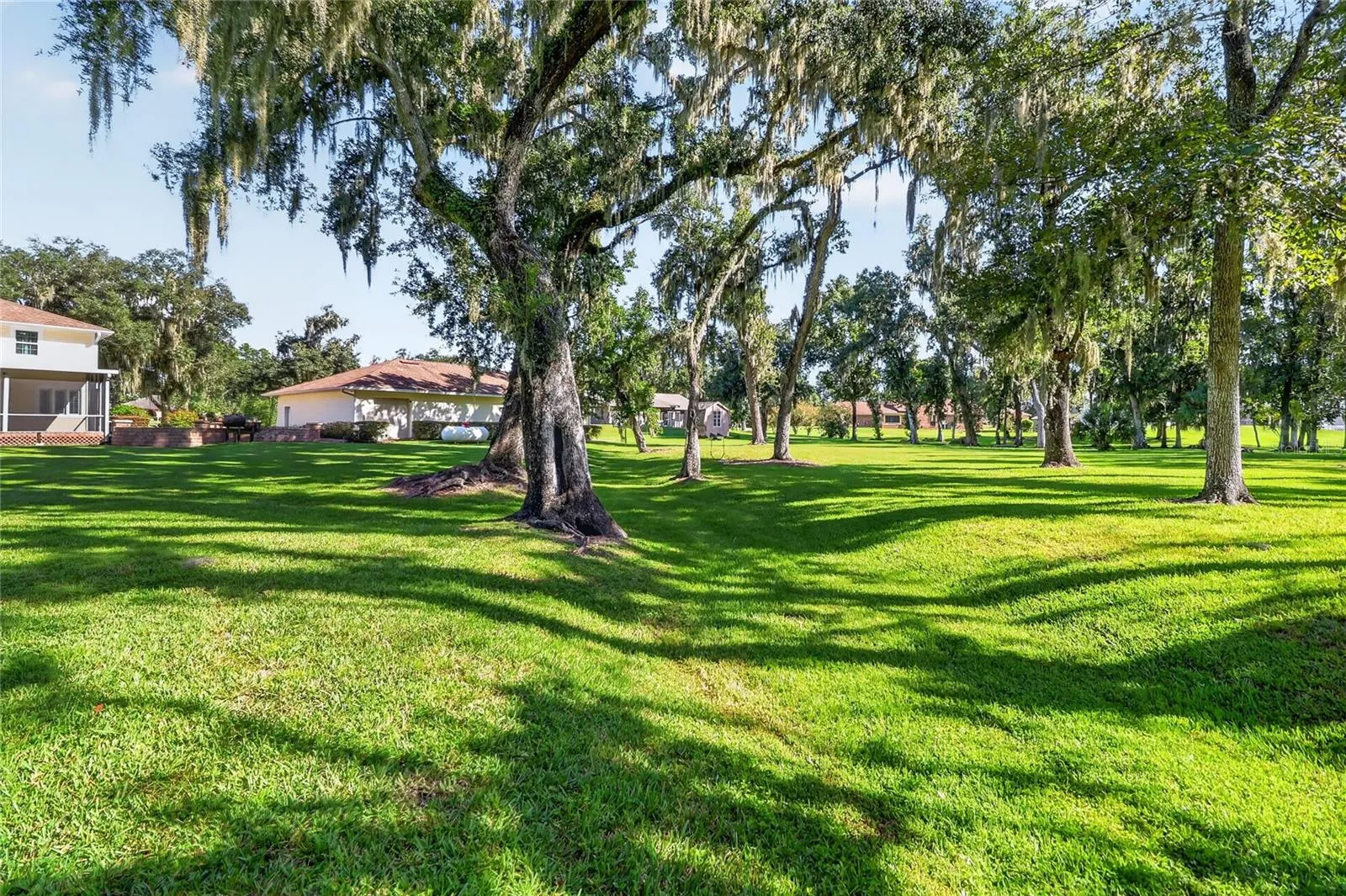 your backyard oasis